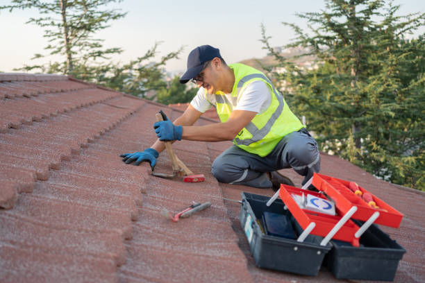 Best Roof Replacement Cost  in Park City, IL